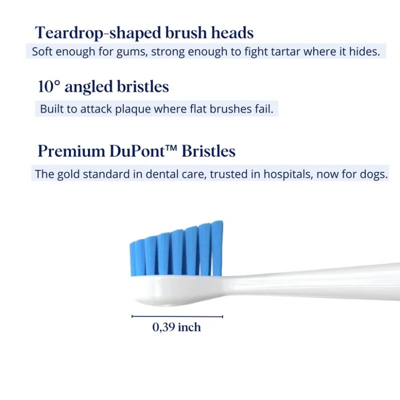Gentle At-Home Dental Care for Your Dog – Fresher Breath, Brighter Smile